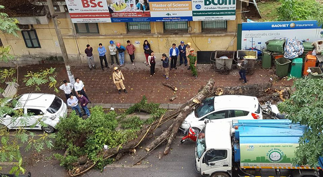 Hà Nội: Gió to làm cây đổ đè bẹp ôtô trên phố Phan Huy Chú ảnh 8