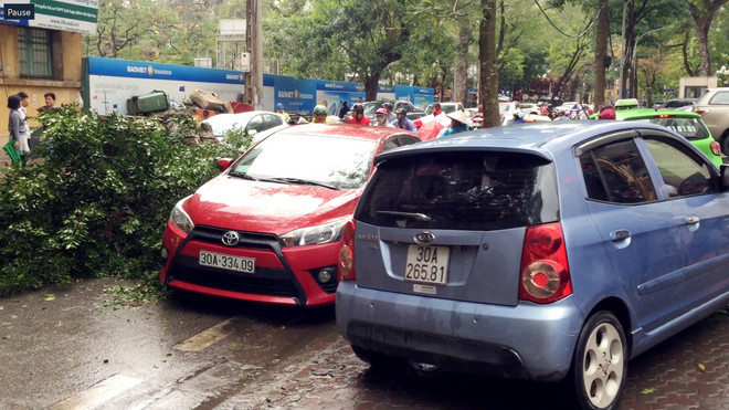 Hà Nội: Gió to làm cây đổ đè bẹp ôtô trên phố Phan Huy Chú ảnh 5