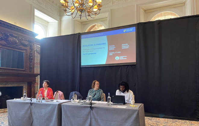 Luật pháp chống nạn phá rừng đặt ra thách thức mới cho ngành càphê ảnh 4