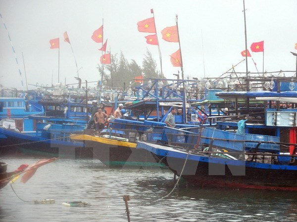 Từ nay đến hết năm, Trung Bộ có thể đón 3 cơn bão, áp thấp nhiệt đới ảnh 1