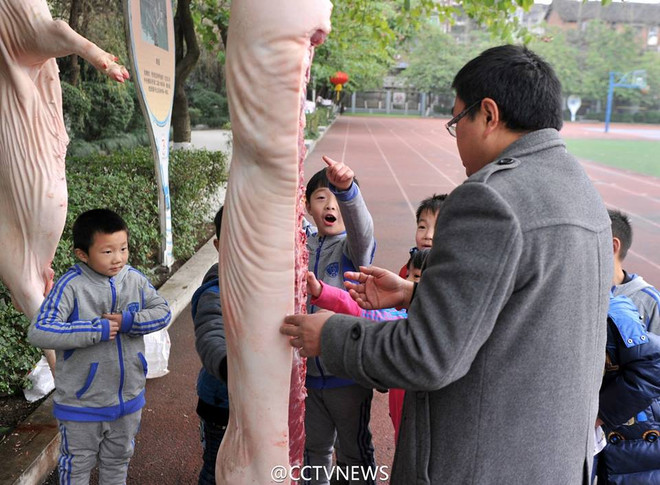 [Photo] Trường tiểu học "trình diễn" mổ lợn để giáo dục học sinh ảnh 3