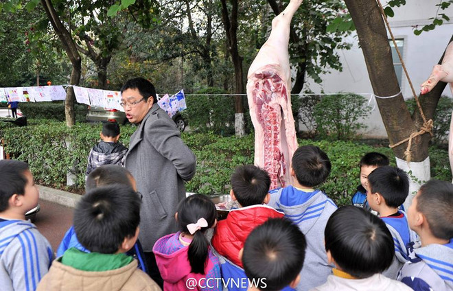 [Photo] Trường tiểu học "trình diễn" mổ lợn để giáo dục học sinh ảnh 2