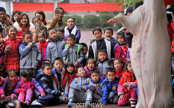 [Photo] Trường tiểu học "trình diễn" mổ lợn để giáo dục học sinh ảnh 4