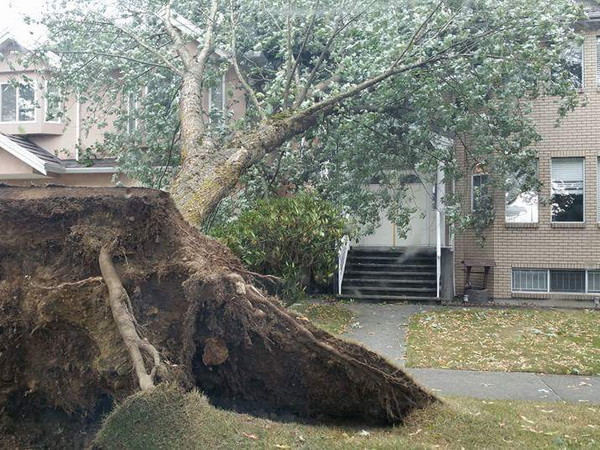 Hàng chục nghìn hộ gia đình ở Canada mất điện vì bão lớn ảnh 1