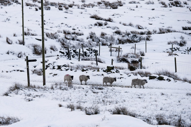 [Video] Đông Bắc Mỹ hứng chịu trận bão tuyết lớn trong lịch sử ảnh 1