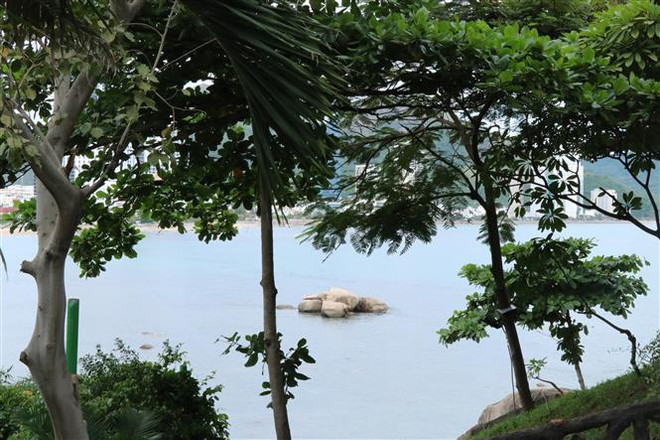 Tạm dừng du lịch lặn biển ở các khu vực dễ bị tổn hại ở vịnh Nha Trang ảnh 1