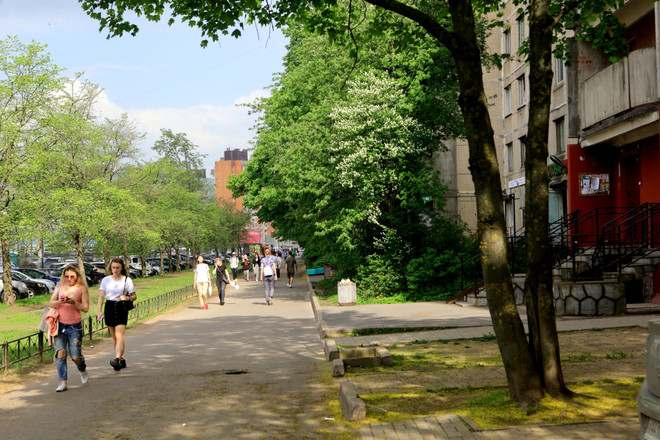 [Photo] Phố Hồ Chí Minh ở thành phố Saint Petersburg của Nga ảnh 1