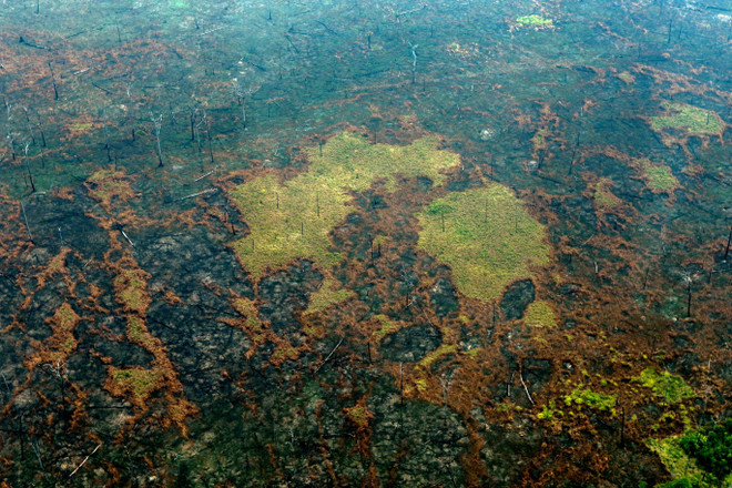 Khoảng rừng Amazon bị thiêu rụi sau trận hỏa hoạn tại bang Amazonas, Brazil, ngày 24/8/2019. (Nguồn: AFP/TTXVN) Cộng đồng thổ dân Brazil kêu gọi châu Âu giúp bảo vệ rừng Amazon ảnh 2