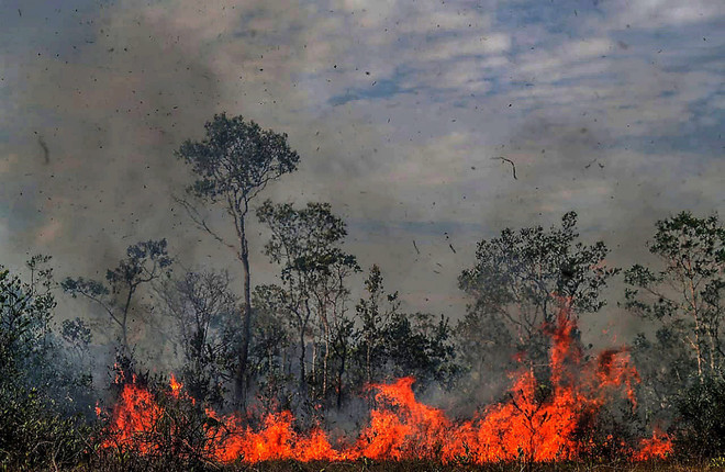 Khói lửa bốc cao trong vụ cháy rừng tại Amazonas,Brazil ngày 26/8. (Nguồn: THX/TTXVN) Cộng đồng thổ dân Brazil kêu gọi châu Âu giúp bảo vệ rừng Amazon ảnh 1