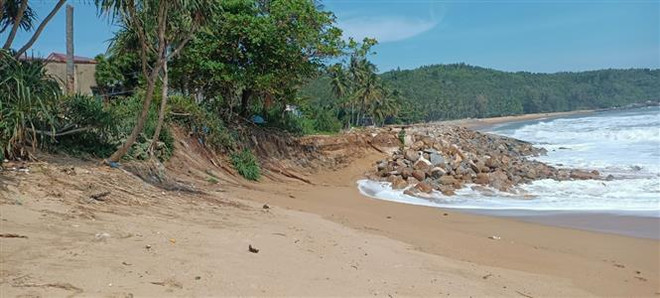 Quảng Nam: Khẩn trương gia cố kè biển Hội An bị hư hại nặng ảnh 1