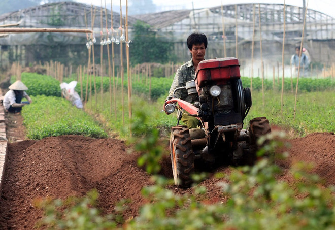 Bí thư Hà Nội: Thành phố đặc biệt quan tâm phát triển nông thôn ảnh 1