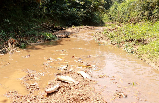 khe rao truong 2.jpg