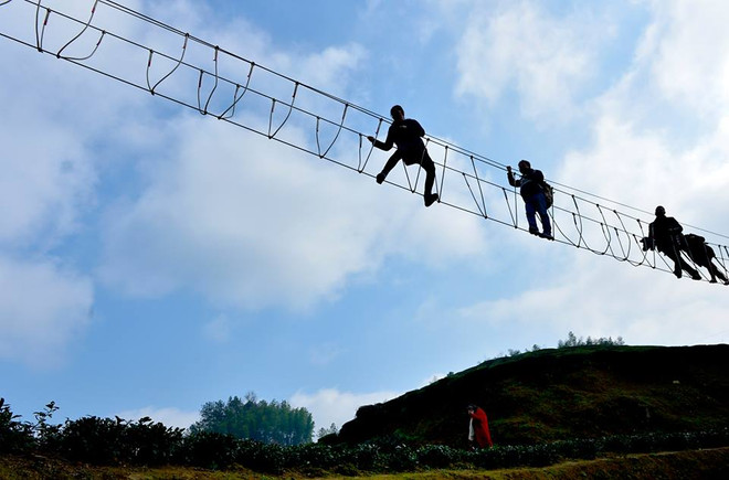 [Photo] Trải nghiệm cầu dây thừng cảm giác mạnh ngay trên đồi chè ảnh 3