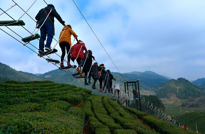 [Photo] Trải nghiệm cầu dây thừng cảm giác mạnh ngay trên đồi chè ảnh 2