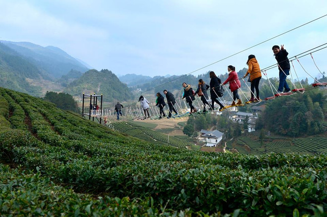 [Photo] Trải nghiệm cầu dây thừng cảm giác mạnh ngay trên đồi chè ảnh 1
