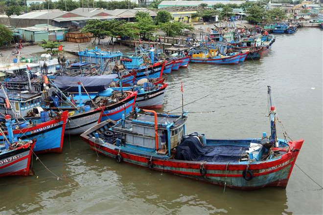 Quảng Nam: Tiếp tục nâng cấp khu đậu tàu thuyền An Hòa trước mùa bão ảnh 1