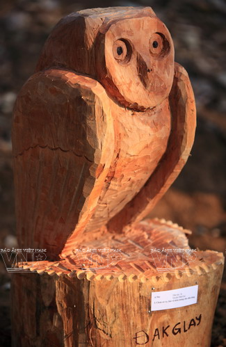 [Photo] Kiệt tác nghệ thuật tượng nhà mồ Tây Nguyên ảnh 8