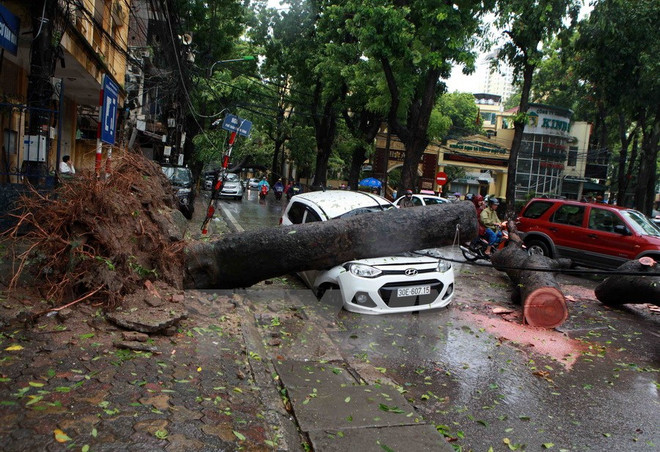 Hàng chục vụ tổn thất sau bão Mirinae, có vụ lên tới 10 triệu USD ảnh 1