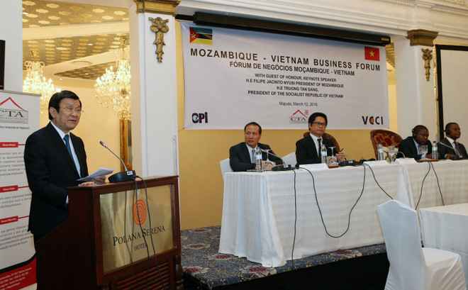 Chủ tịch nước dự Diễn đàn Doanh nghiệp Mozambique-Việt Nam ảnh 1