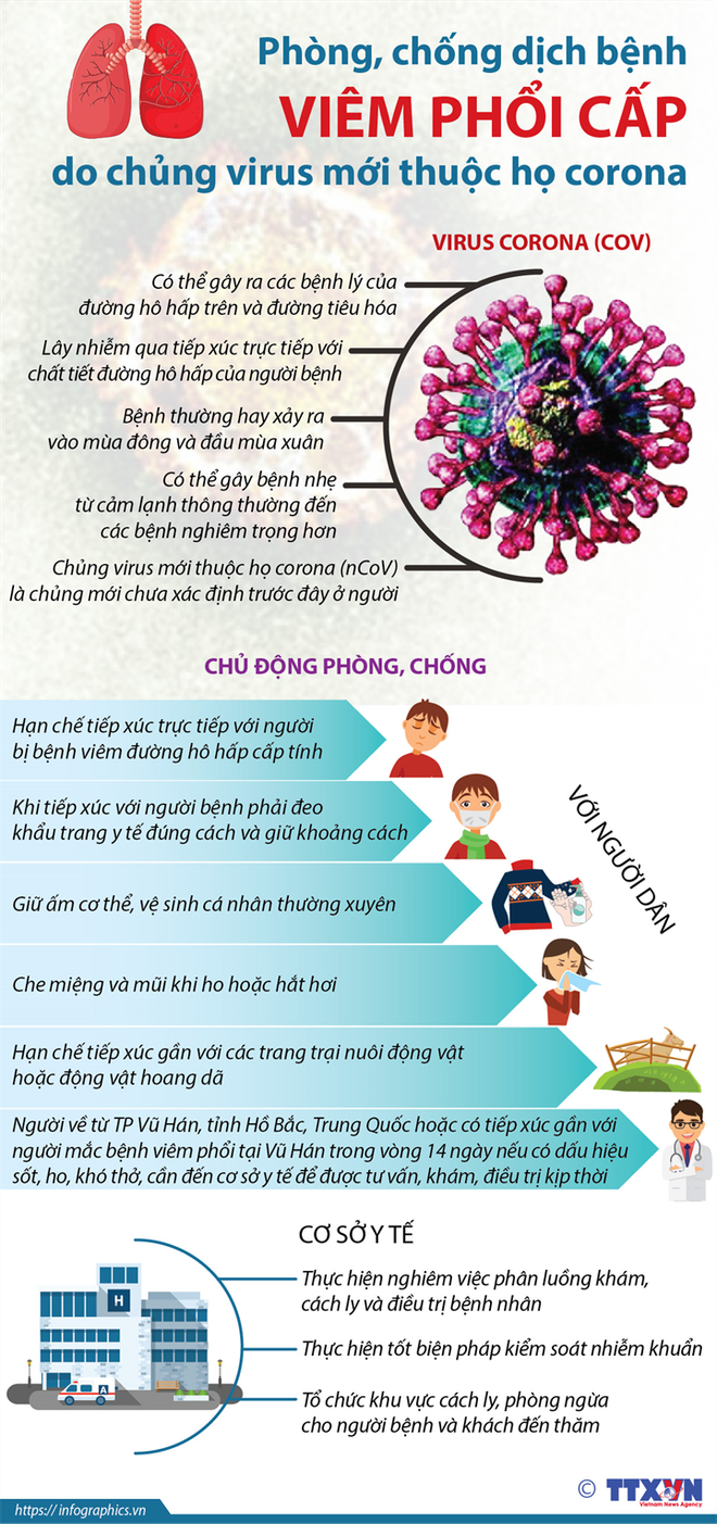 WHO khuyến cáo sử dụng khẩu trang y tế hợp lý để tránh lãng phí ảnh 3