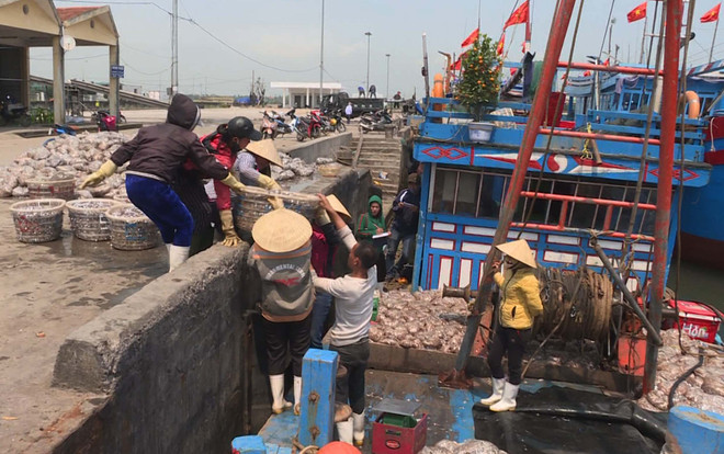 Thanh Hóa đẩy mạnh phát triển đồng bộ 5 trụ cột kinh tế biển ảnh 2