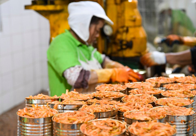 Công nhân chế biến sản phẩm nấm đóng hộp tại một nhà máy ở Trùng Khánh (Trung Quốc). (Ảnh: THX/TTXVN) kinh te trung quoc 2.jpg