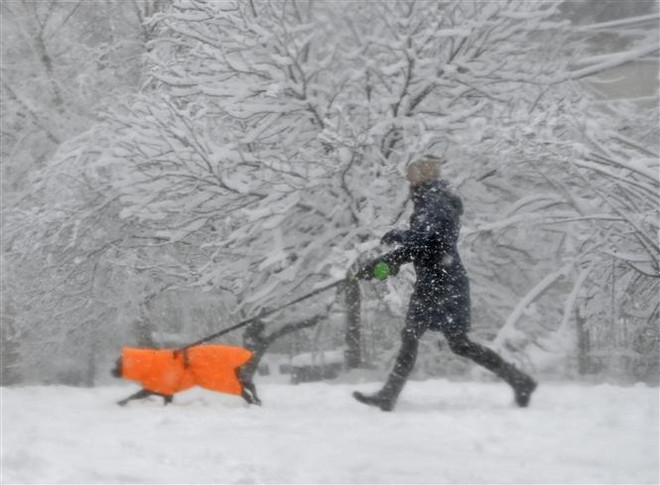 Mỹ tiếp tục hứng chịu lụt lội ở miền Tây và bão tuyết ở miền Đông ảnh 1