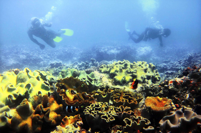 Tổ quốc hiện lên tuyệt đẹp trong triển lãm ảnh “Khám phá Việt Nam” ảnh 4