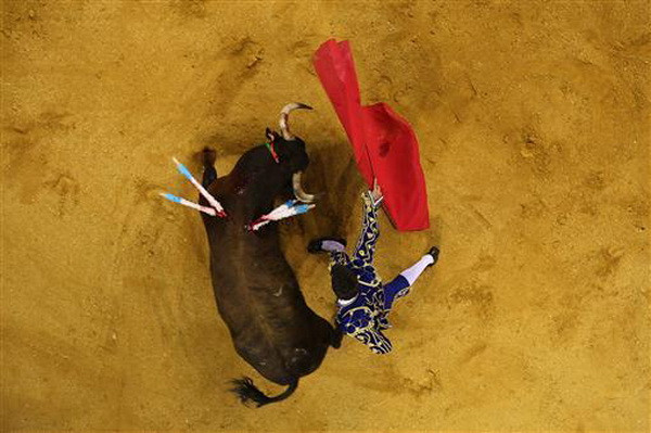 Tòa Mexico phán quyết đình chỉ đấu bò tại đấu trường lớn nhất thế giới ảnh 1