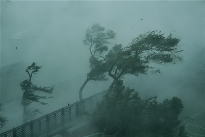 Gió lớn do ảnh hưởng của bão Mangkhut tại Hong Kong, Trung Quốc ngày 16/9. (Nguồn: THX/TTXVN) Bão Mangkhut đổ bộ vào Quảng Đông, sóng biển cao 4m ở Vịnh Bắc Bộ ảnh 1
