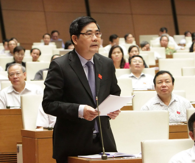 Chính phủ khuyến khích trồng rừng gỗ lớn để nâng cao hiệu quả ảnh 1