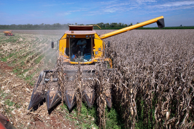 Brazil tăng nguồn tín dụng phát triển nông nghiệp hộ gia đình ảnh 1