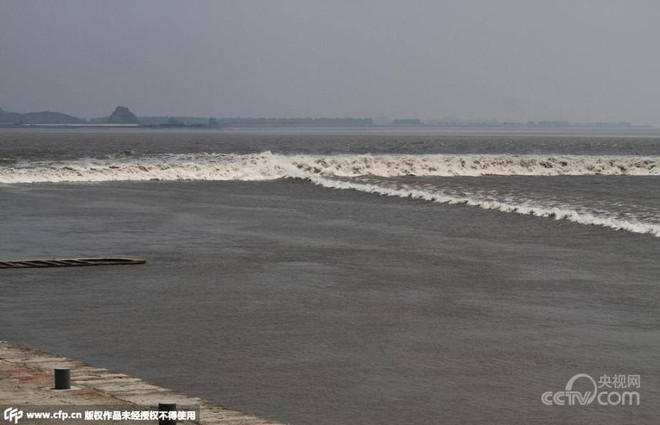 [Photo] Hiện tượng sóng giao nhau hiếm gặp trên sông Tiền Đường ảnh 2