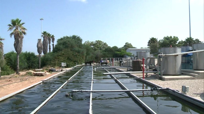 Israel chia sẻ "kinh nghiệm xương máu" đối phó với hạn hán ảnh 3