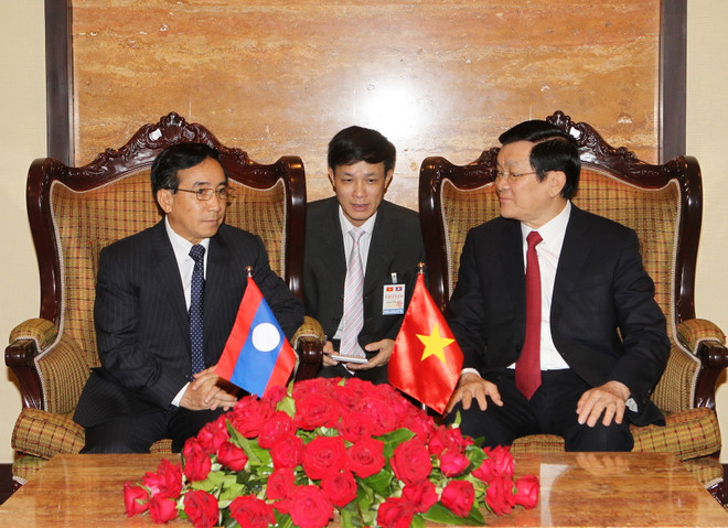 Chủ tịch nước tiếp Chủ tịch Hội Hữu nghị Lào-Việt Nam ảnh 1