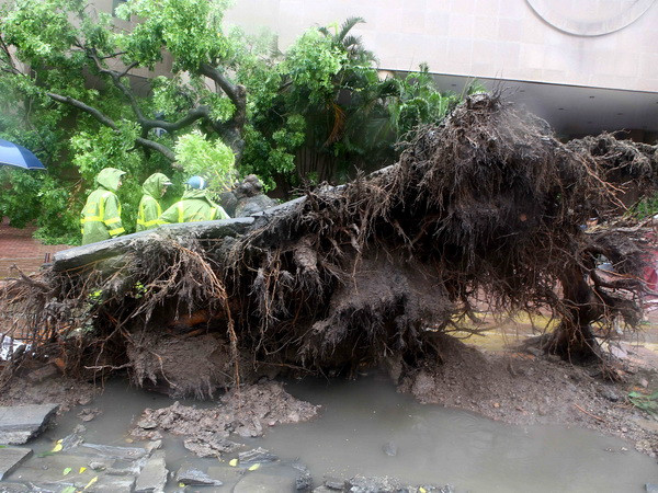 Phụ huynh phàn nàn vì nhận được thông báo nghỉ học quá sát giờ ảnh 1