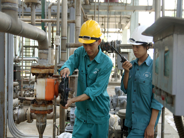 Chuyên gia nghi ngại tính hiệu quả của doanh nghiệp sau cổ phần hóa ảnh 1