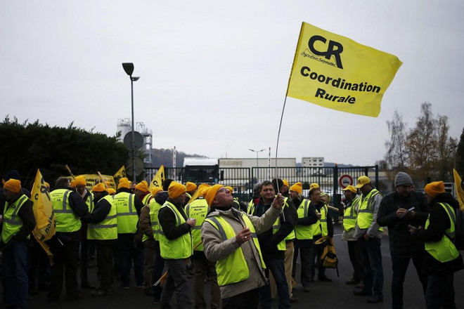 Nhà máy sản xuất nutella lớn nhất thế giới bị ngừng trệ do đình công ảnh 1