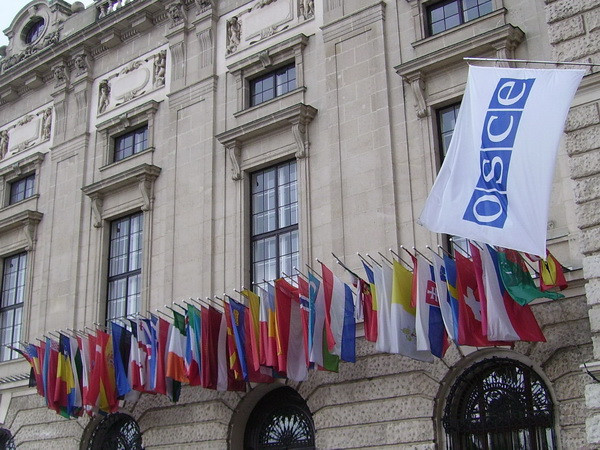 Nghị sỹ Áo được bầu làm Chủ tịch mới của tổ chức OSCE ảnh 1