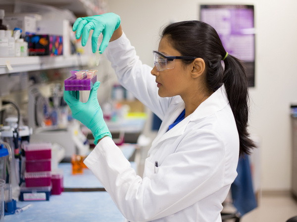 Phát hiện phân tử mới có lợi cho điều trị thiếu máu não ảnh 1