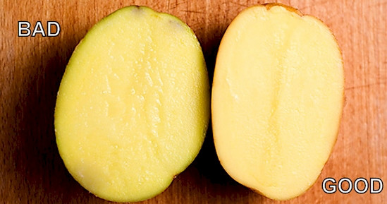 Hiểu rõ tuổi thọ của thực phẩm để làm bà nội trợ thông minh ảnh 1