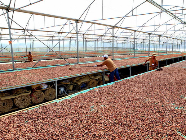 Đồng Nai liên kết với Nhật Bản sản xuất chocolate xuất khẩu ảnh 1