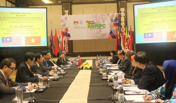 Hiệp hội các nước sản xuất cao su thiên nhiên bàn cách ổn định giá ảnh 2