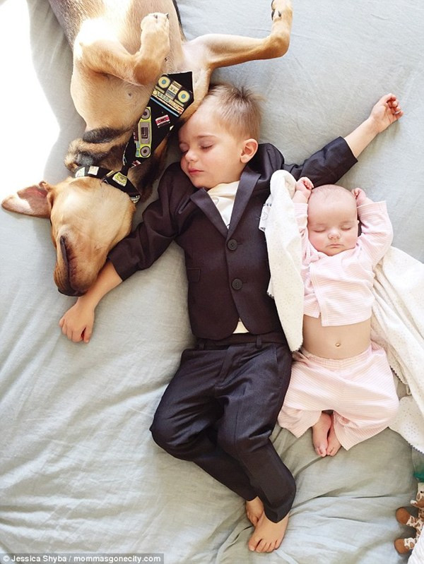 Mê mẩn với bộ ảnh giấc ngủ trưa của hai "thiên thần nhỏ" và cún cưng ảnh 1