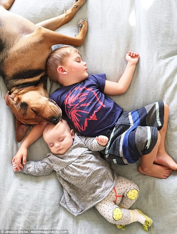 Mê mẩn với bộ ảnh giấc ngủ trưa của hai "thiên thần nhỏ" và cún cưng ảnh 3