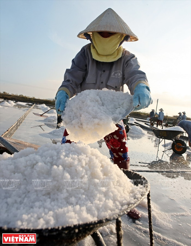 Chiêm ngưỡng "núi tuyết trắng" trên đồng muối Hòn Khói ảnh 5