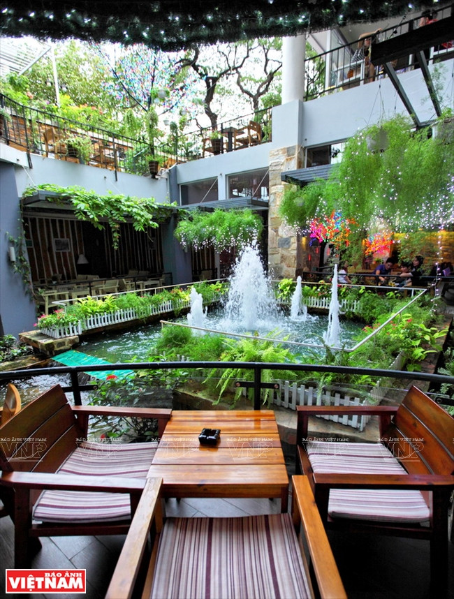 Độc đáo quán càphê nằm trên cây si cổ thụ giữa thành phố ảnh 6