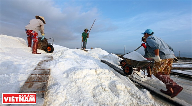 Chiêm ngưỡng "núi tuyết trắng" trên đồng muối Hòn Khói ảnh 6