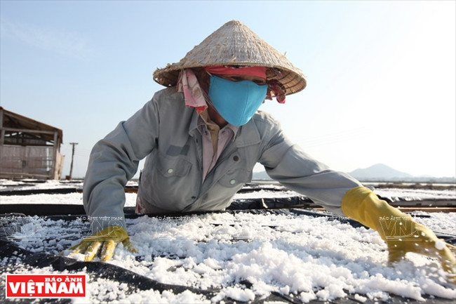 Chiêm ngưỡng "núi tuyết trắng" trên đồng muối Hòn Khói ảnh 7