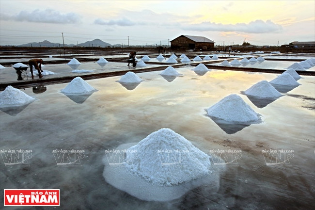 Chiêm ngưỡng "núi tuyết trắng" trên đồng muối Hòn Khói ảnh 3